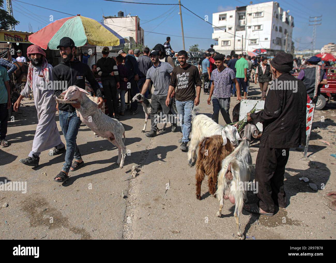 June 22, 2023, Gaza City, The Gaza Strip, Palestine Palestinian