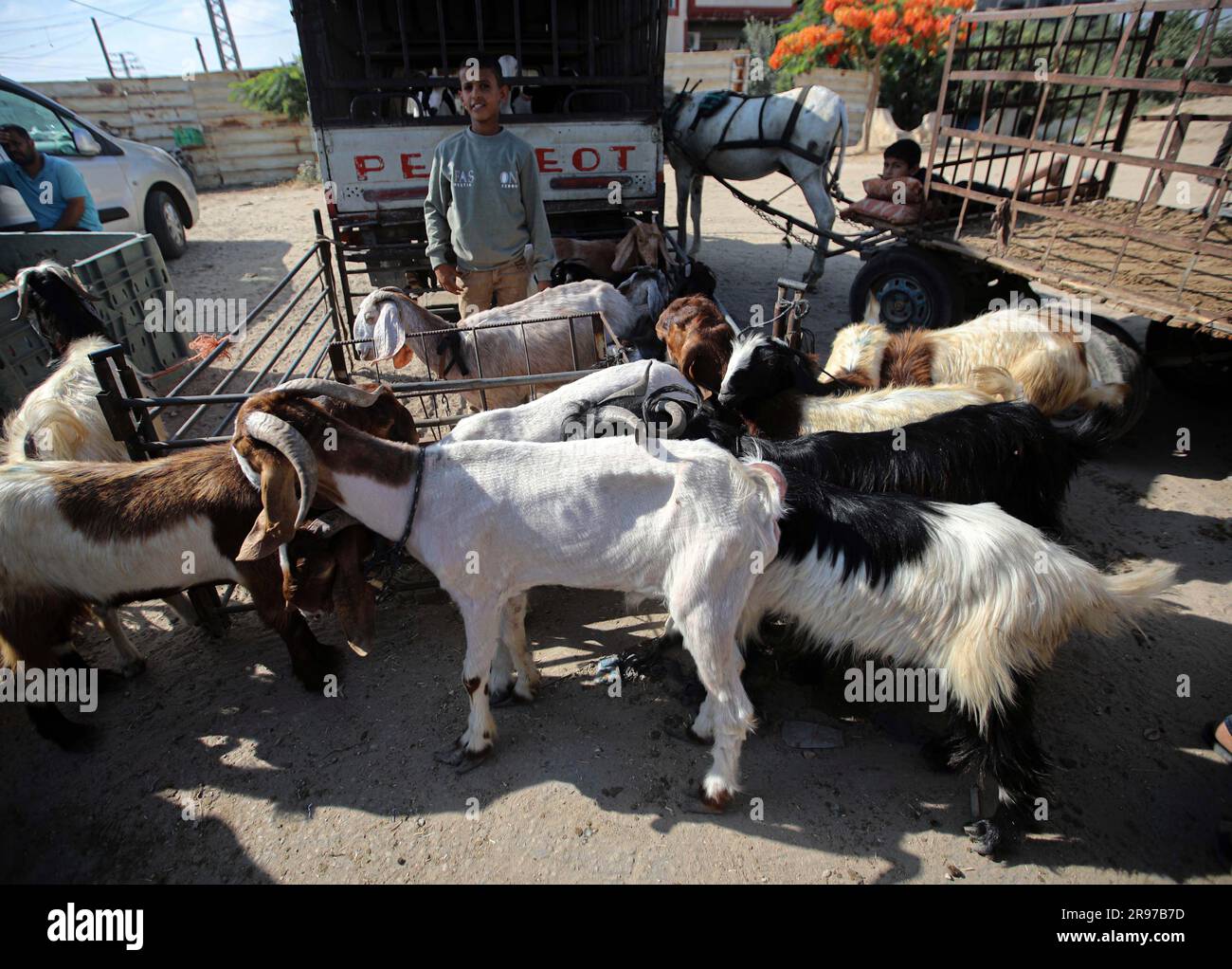 June 22, 2023, Gaza City, The Gaza Strip, Palestine Palestinian