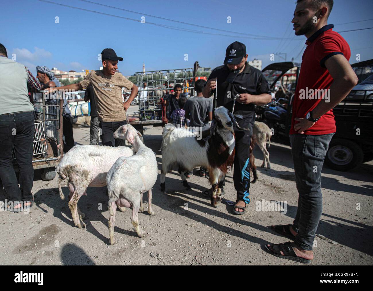 June 22, 2023, Gaza City, The Gaza Strip, Palestine Palestinian