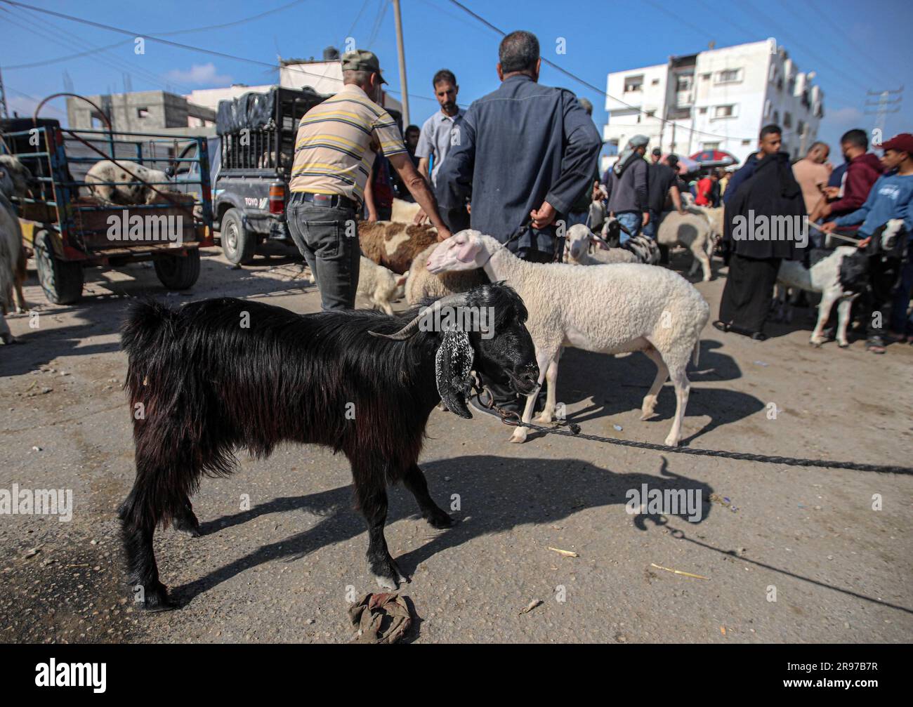 June 22, 2023, Gaza City, The Gaza Strip, Palestine Palestinian