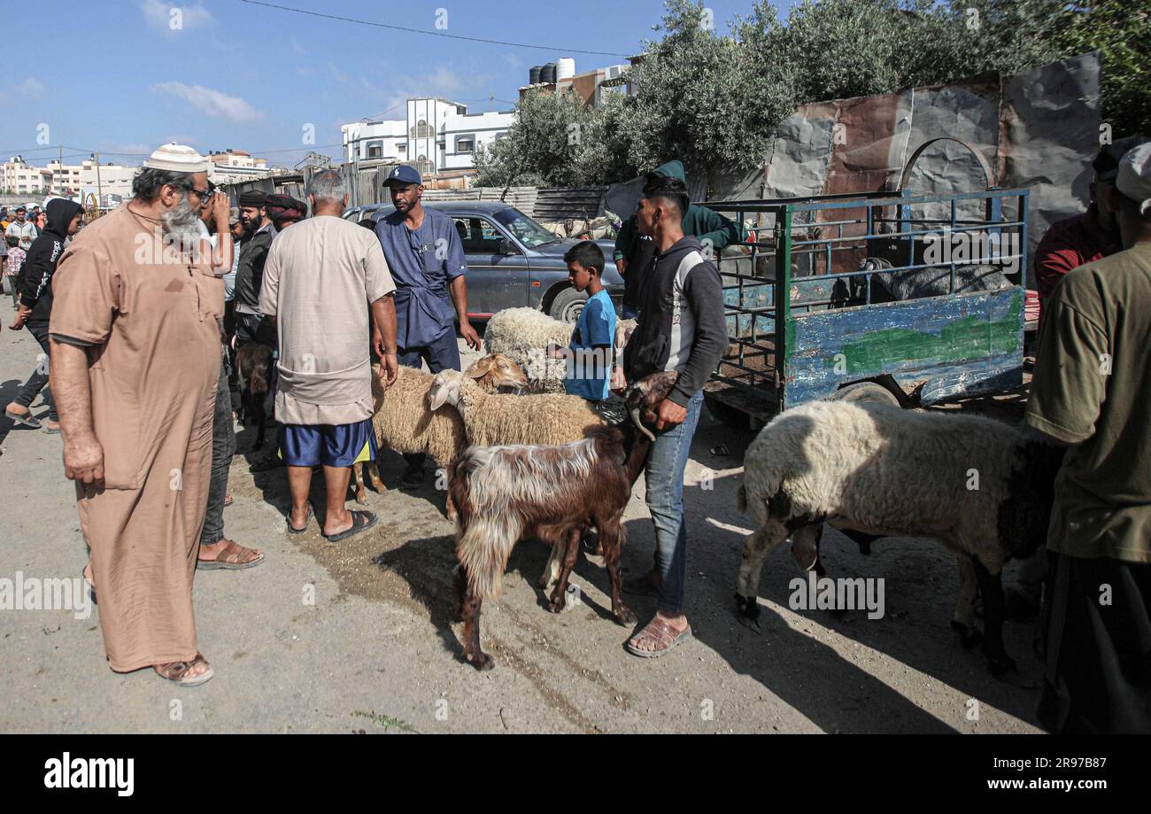 June 22, 2023, Gaza City, The Gaza Strip, Palestine Palestinian