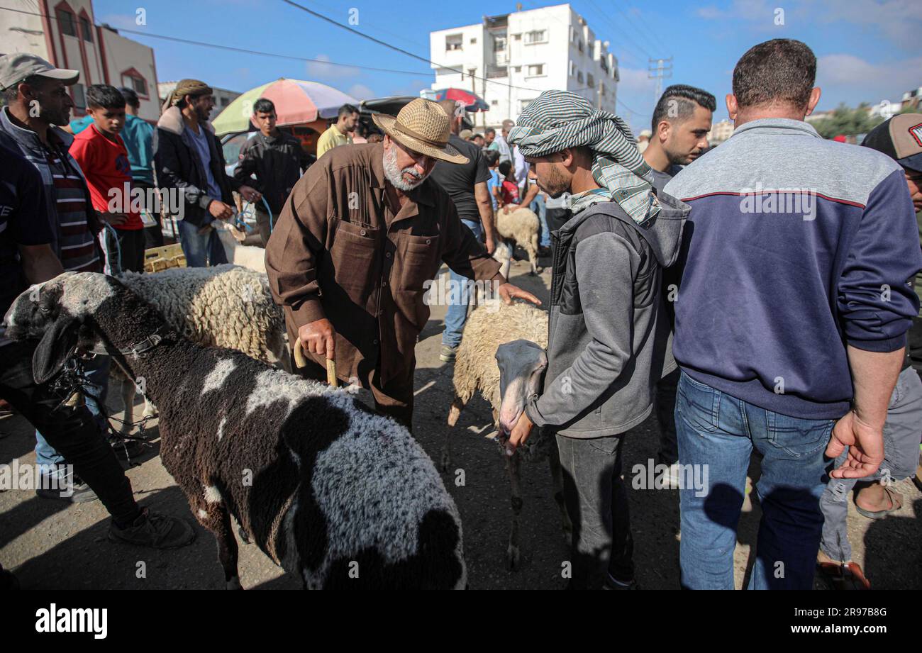 June 22, 2023, Gaza City, The Gaza Strip, Palestine Palestinian