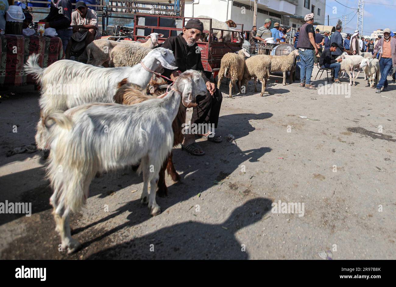 June 22, 2023, Gaza City, The Gaza Strip, Palestine Palestinian