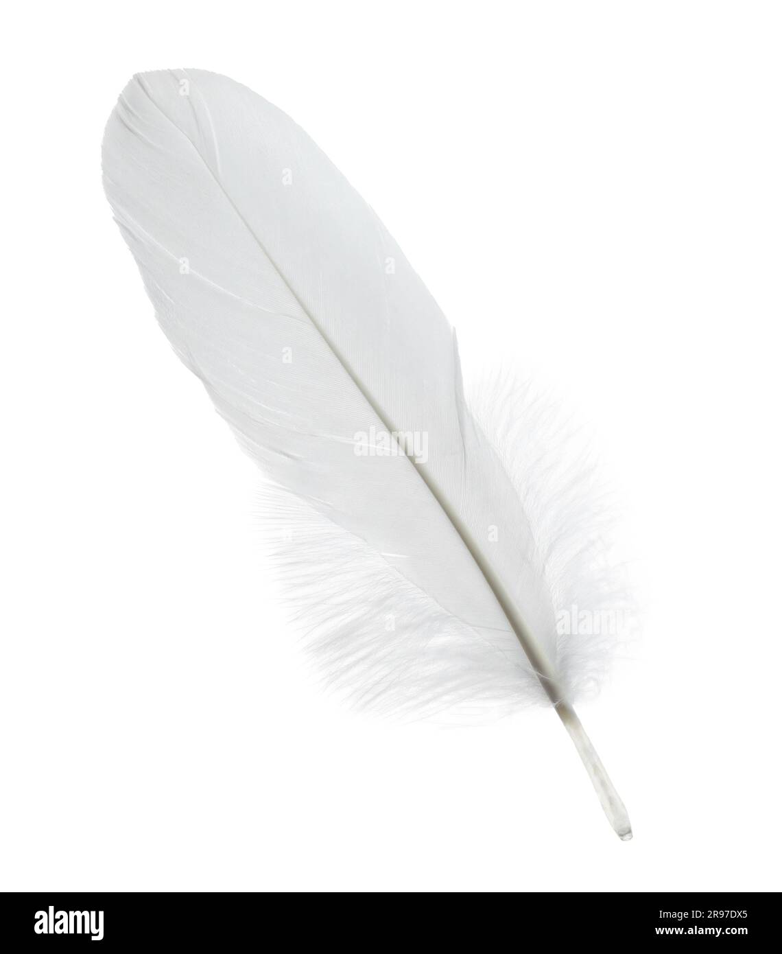 White feather, quill isolated on white background with clipping path Stock  Photo