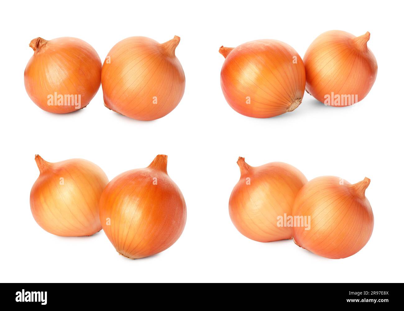 Fresh vegetable onion collage hi-res stock photography and images - Alamy