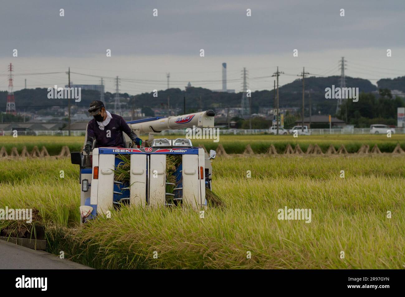 Rice harvester hi-res stock photography and images - Alamy