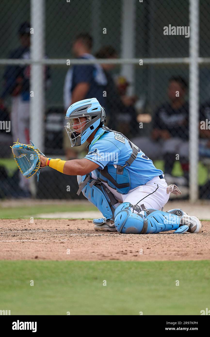 FCL Rays catcher Enderson Delgado (96) during an MiLB Florida