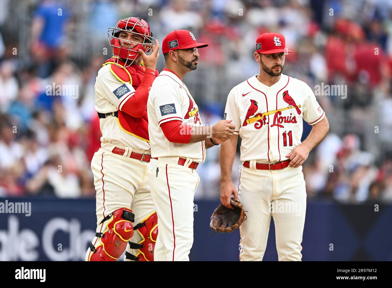 Oliver Marmol #37 Manager of the St. Louis Cardinals makes a