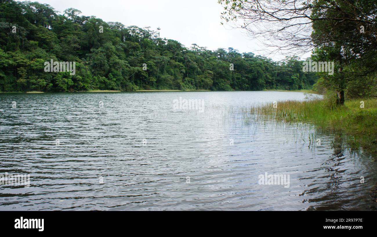 Lake, tranquility in the middle of the rainforest Stock Photo Alamy