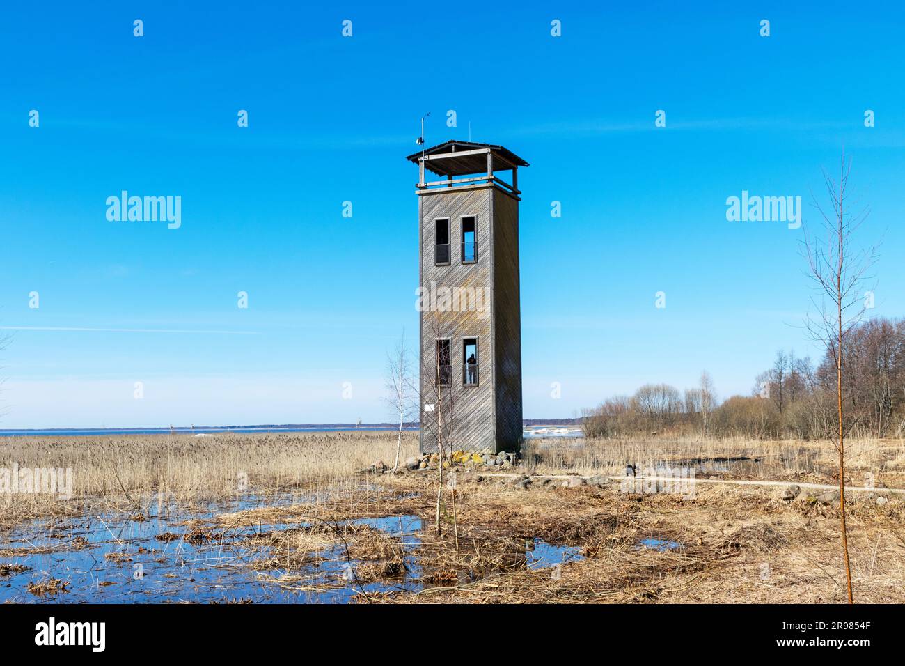 spring landscape with lake view, wooden lookout tower, Lake Võrtsjärv is Estonia's largest inland body of water. Stock Photo