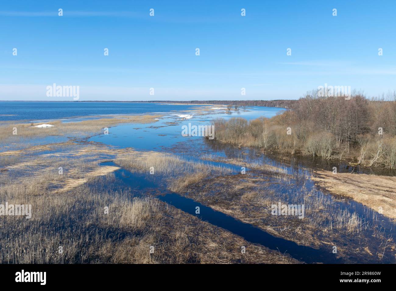 spring landscape overlooking the lake, Lake Võrtsjärv is Estonia's largest inland body of water. Stock Photo