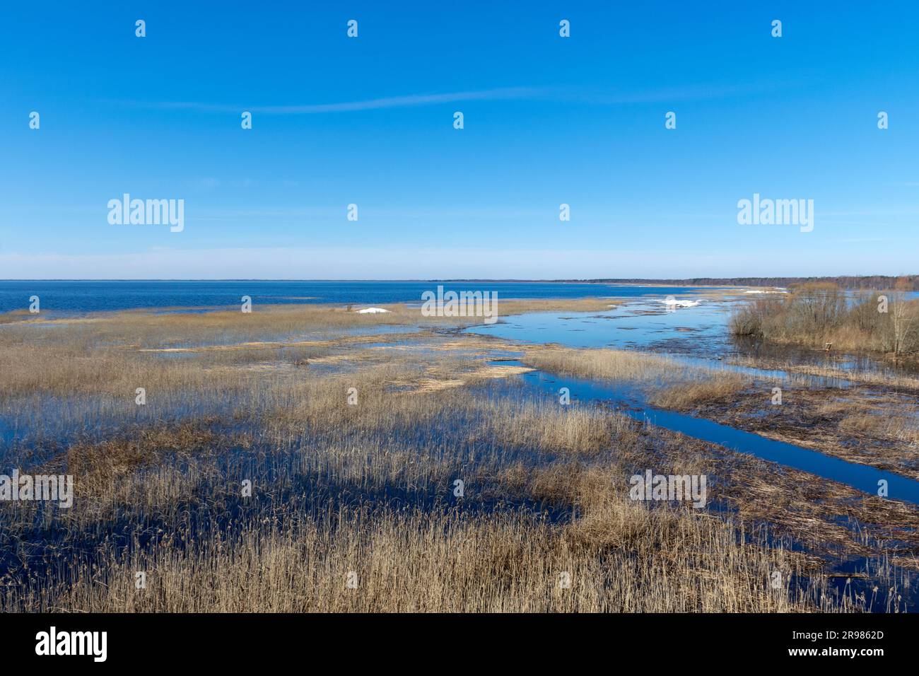 spring landscape overlooking the lake, Lake Võrtsjärv is Estonia's largest inland body of water. Stock Photo