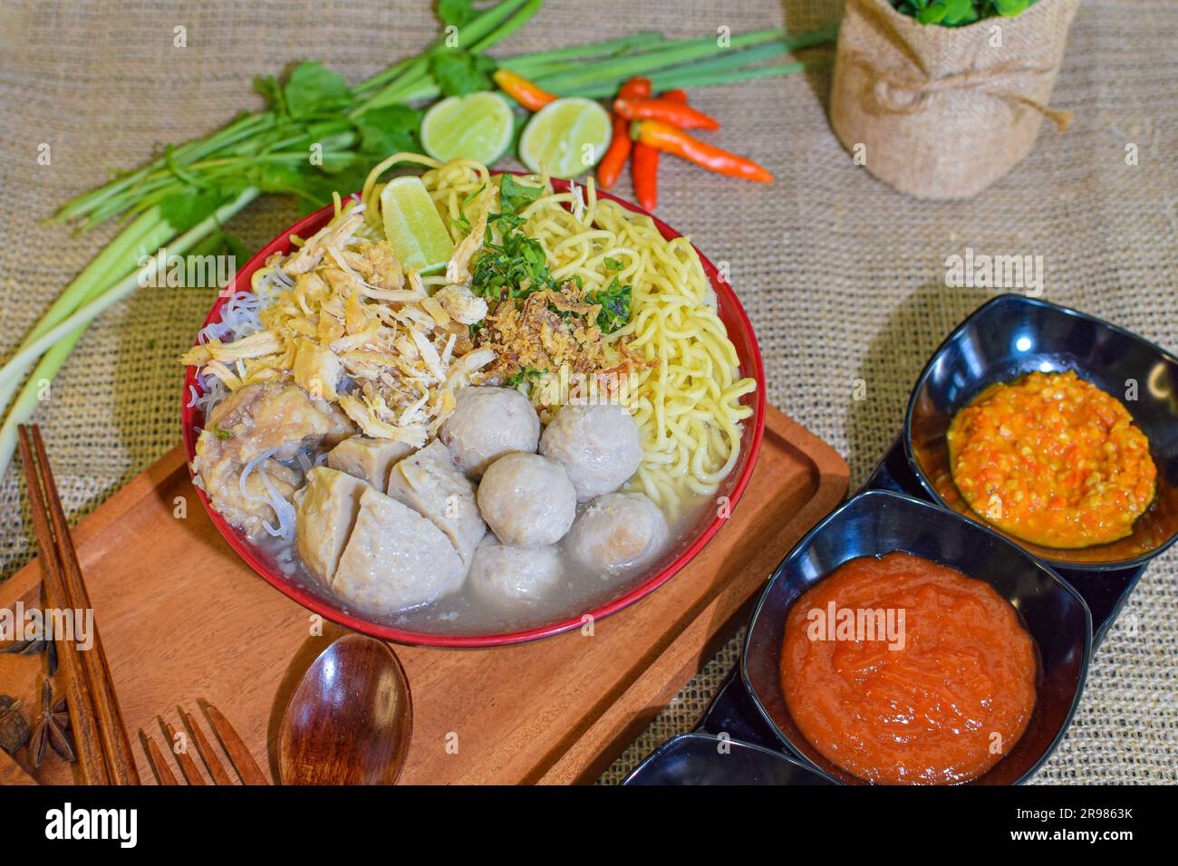 Indonesian Food: Photo products of various variants of Meatballs with