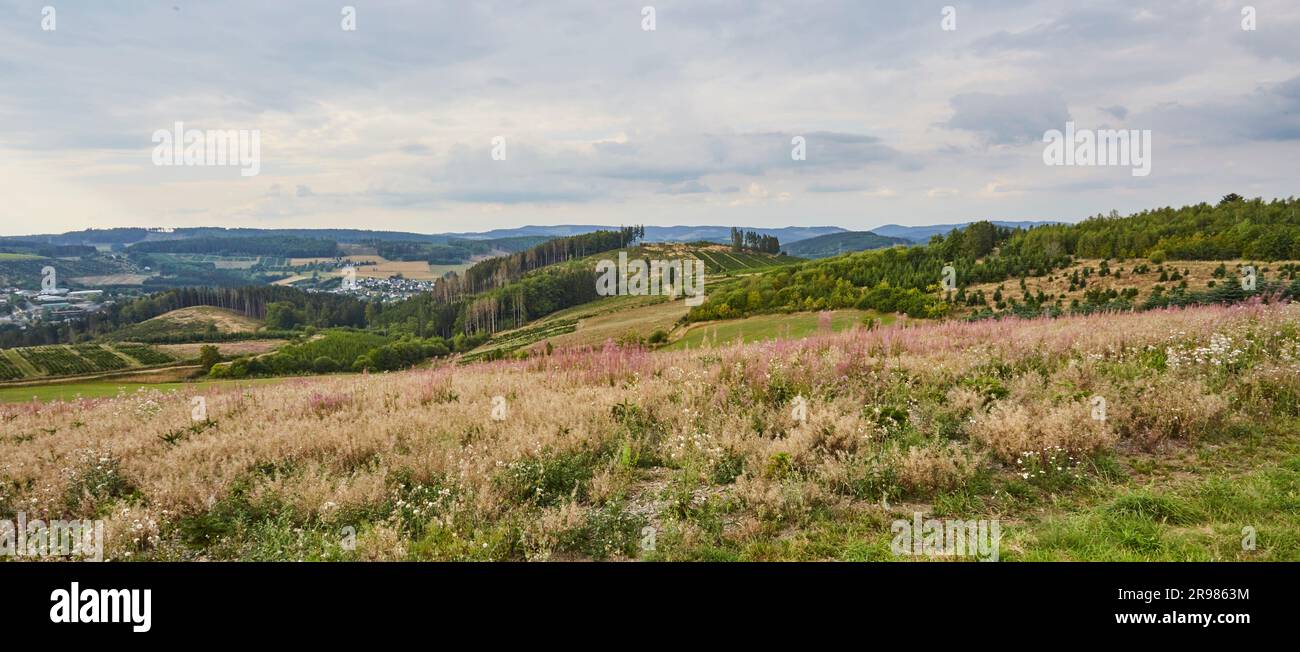 Cobbenrode, Sauerland, HSK, wander, hiking, eslohe, schmallenberg, meschede, berge, natur, landschaft Stock Photo