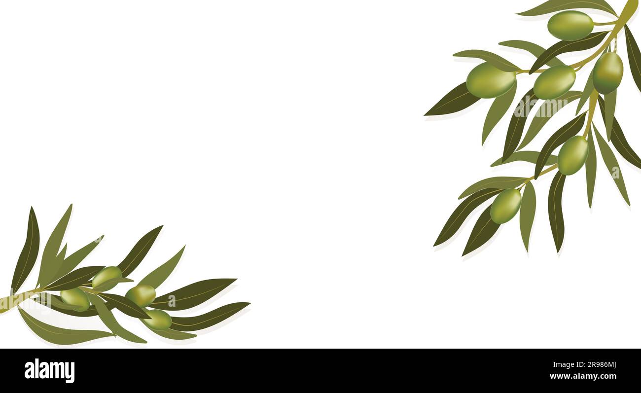 Background with olive branch and green olives. Vegetarian food and
