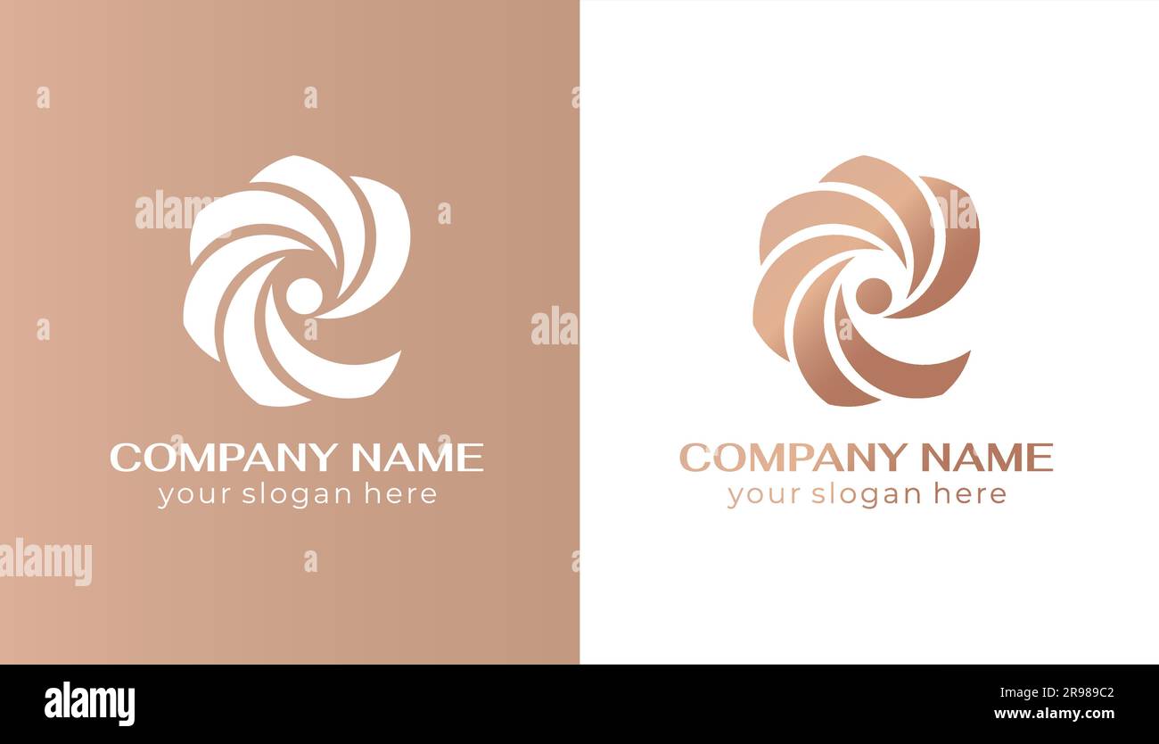 fashion designer template fashion designer template