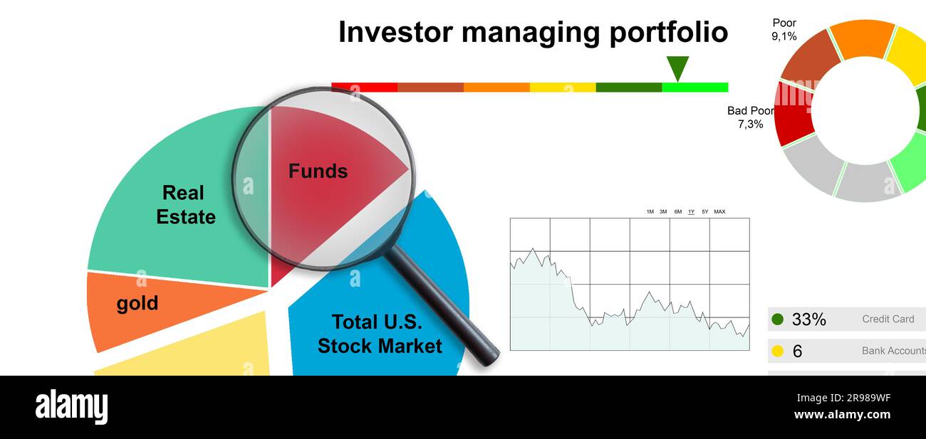 Expensive gold fountain pen pointing to moderate asset allocation pie