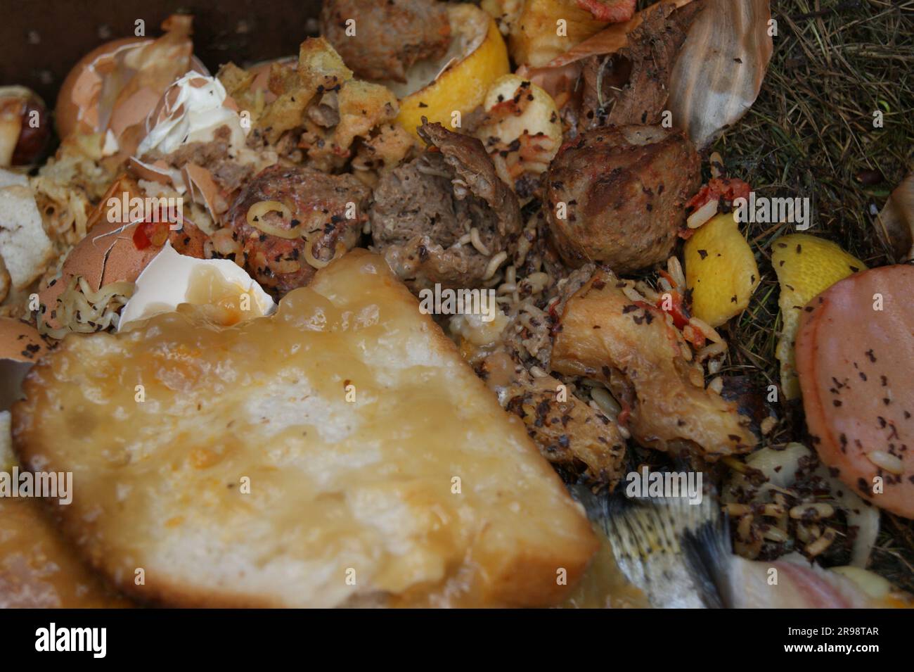 Processing of food waste. Various food waste close-up. Stock Photo