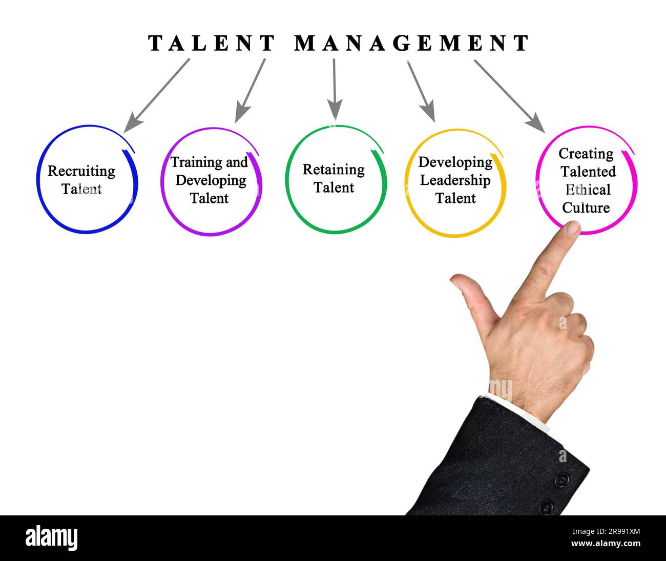 5 Talent Management Strategy Examples Confopay 5 Talent Management Strategy Examples Confopay