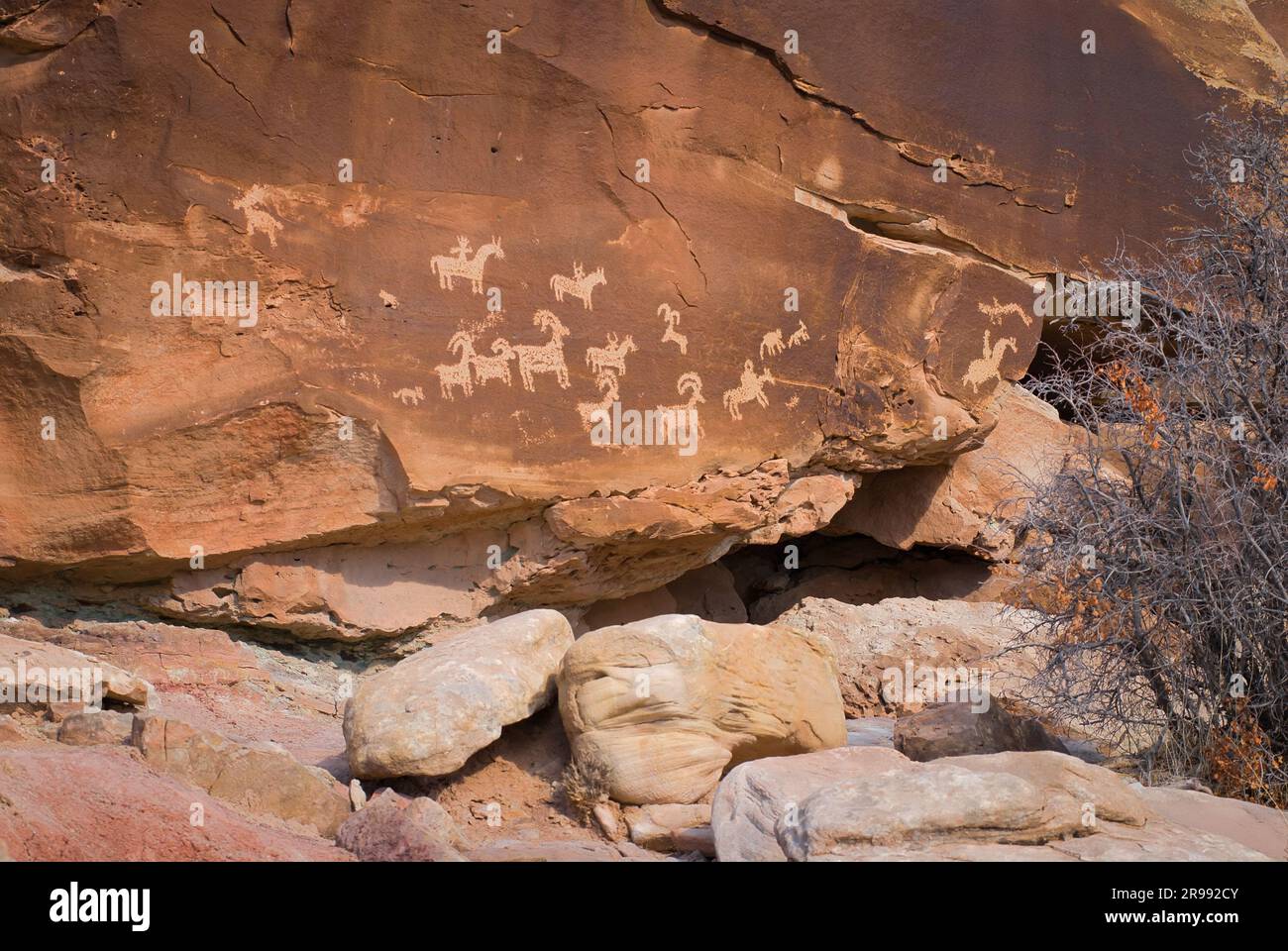 Petroglyphs (rock carvings) near the Wolfe Ranch, Arches National Park