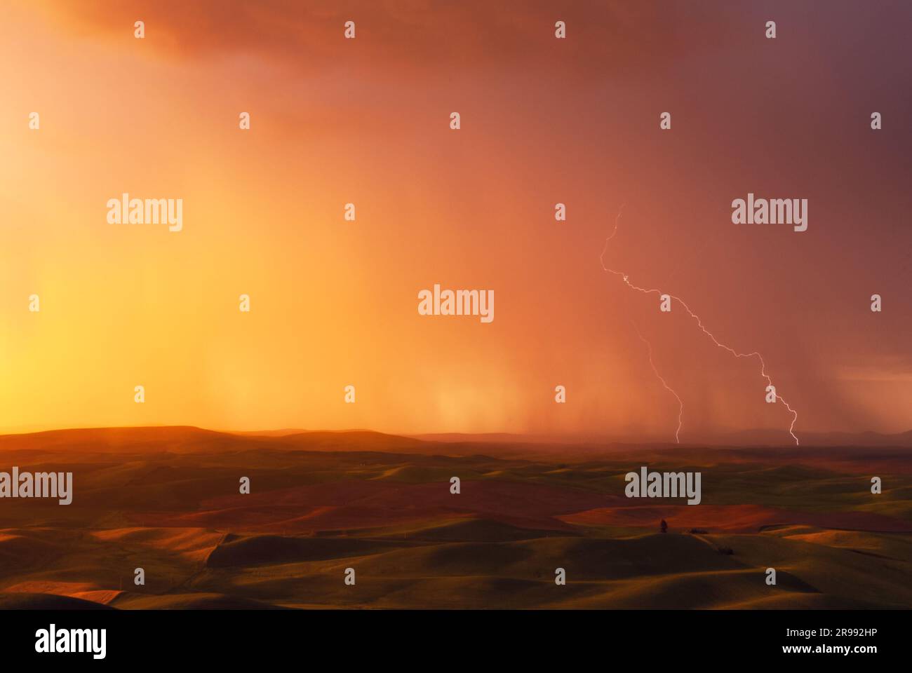 Summer Storm with lightning, The Palouse, Washington. Stock Photo