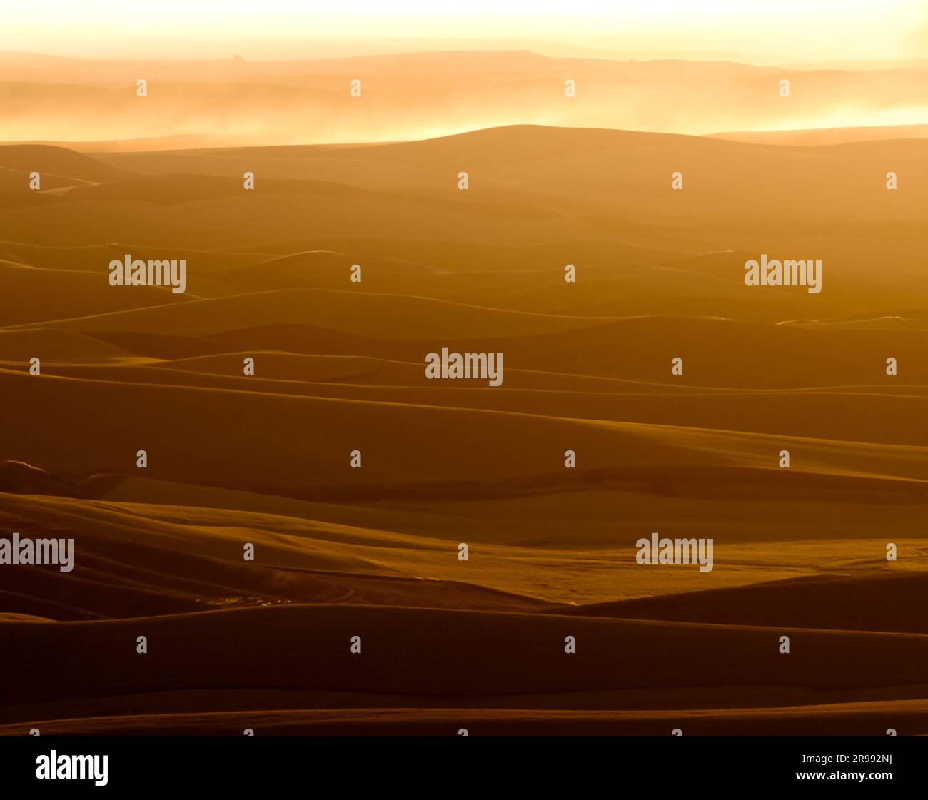 Rolling hills at sunset in summer, Whitman County, Washington, USA. Stock Photo
