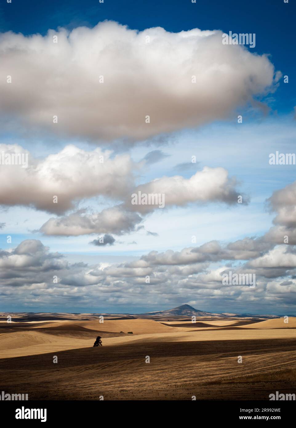 Rolling hills, Steptoe Butte and clouds, Whitman County, Washington, USA Stock Photo