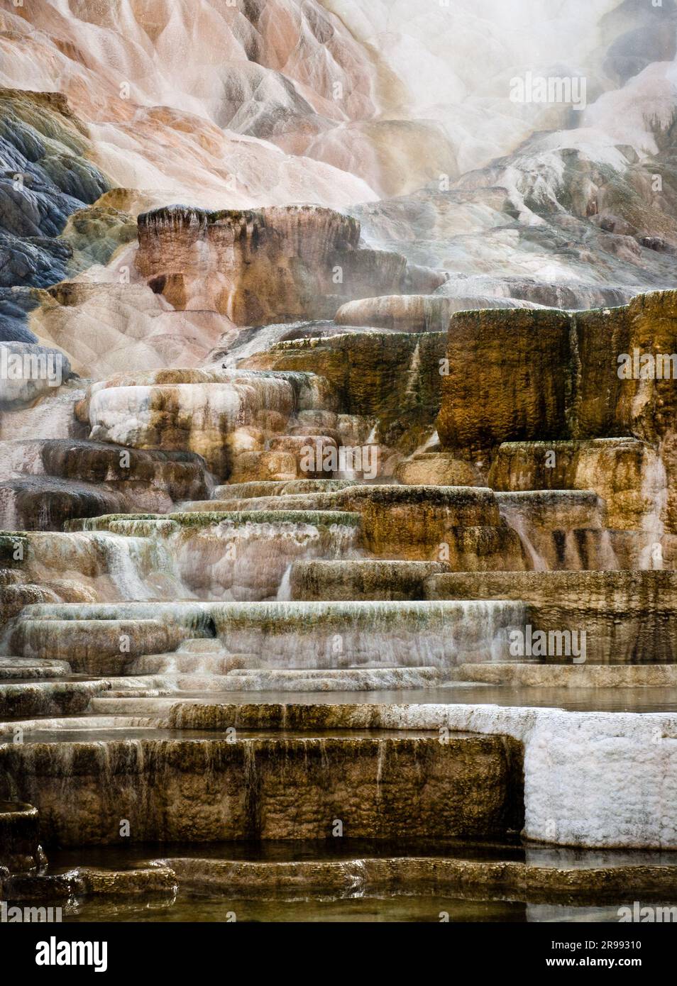 Travertine (limestone) terraces of Palette Springs in late winter, formed by volcanic activity of the Yellowstone Caldera, Yellowstone National Park, Stock Photo