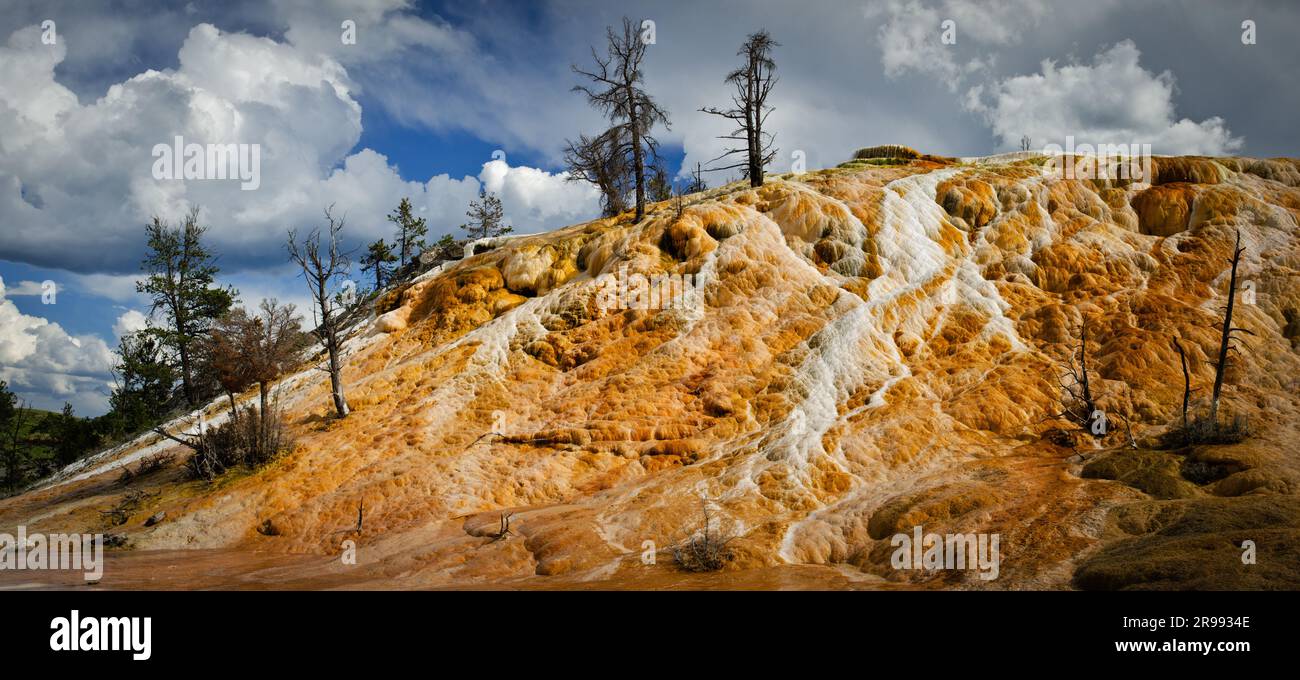 Panorama of travertine (limestone) mound formed by mineral deposition from hot springs, Palette Springs, Yellowstone National Park, Wyoming, USA Stock Photo