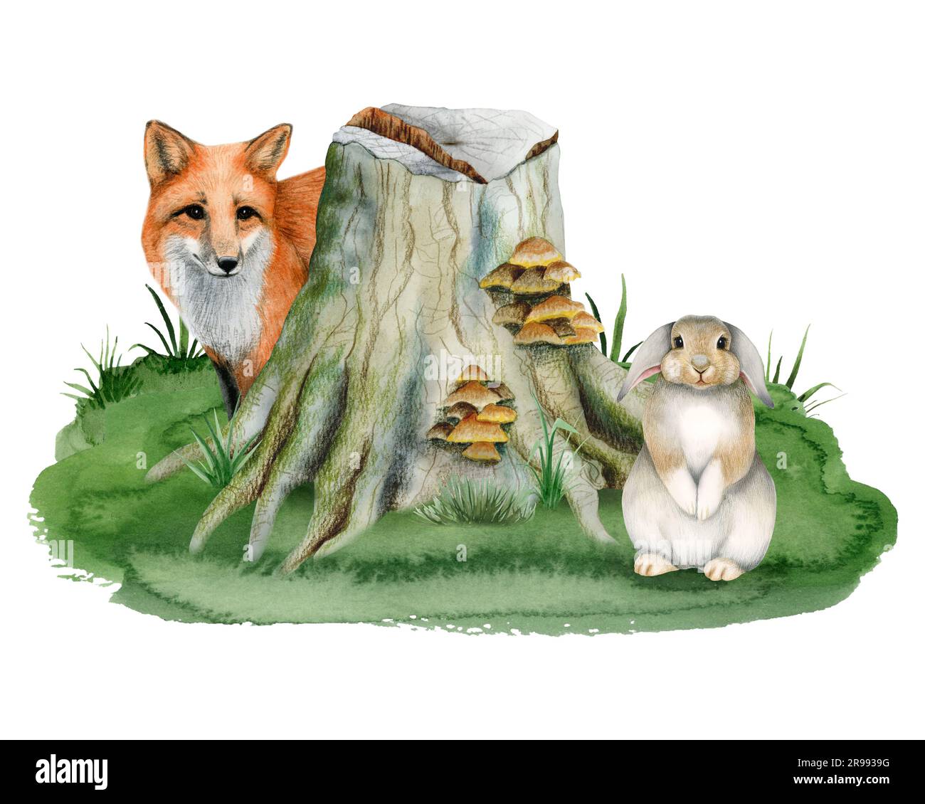 Red fox hiding behind tree stump with mushrooms and bunny rabbit sitting on green grass. Watercolor forest animals Stock Photo