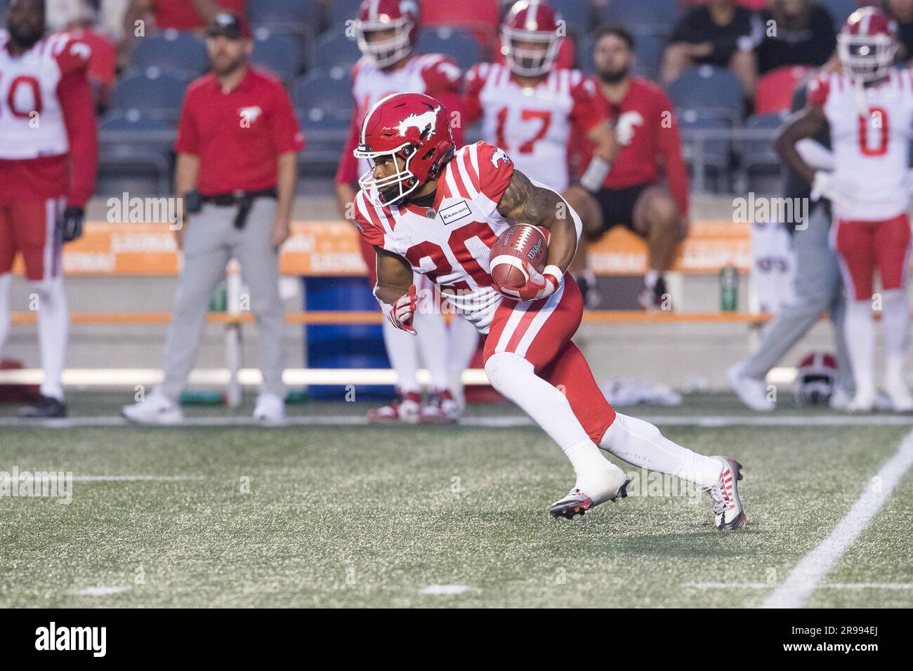 Ottawa, Canada. 15th June, 2023. Calgary Stampeders Peyton Logan (20) runs with the ball during the CFL game between Calgary Stampeders and Ottawa Redblacks held at TD Place Stadium in Ottawa, Canada. Daniel Lea/CSM/Alamy Live News Stock Photo