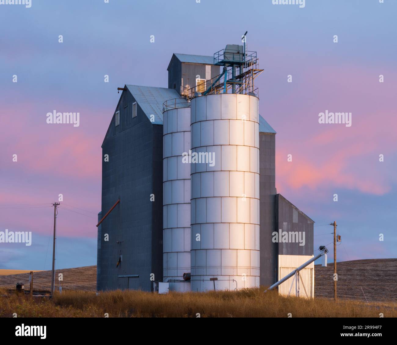 Grain elevator and silos at sunset, Washington, USA Stock Photo Alamy