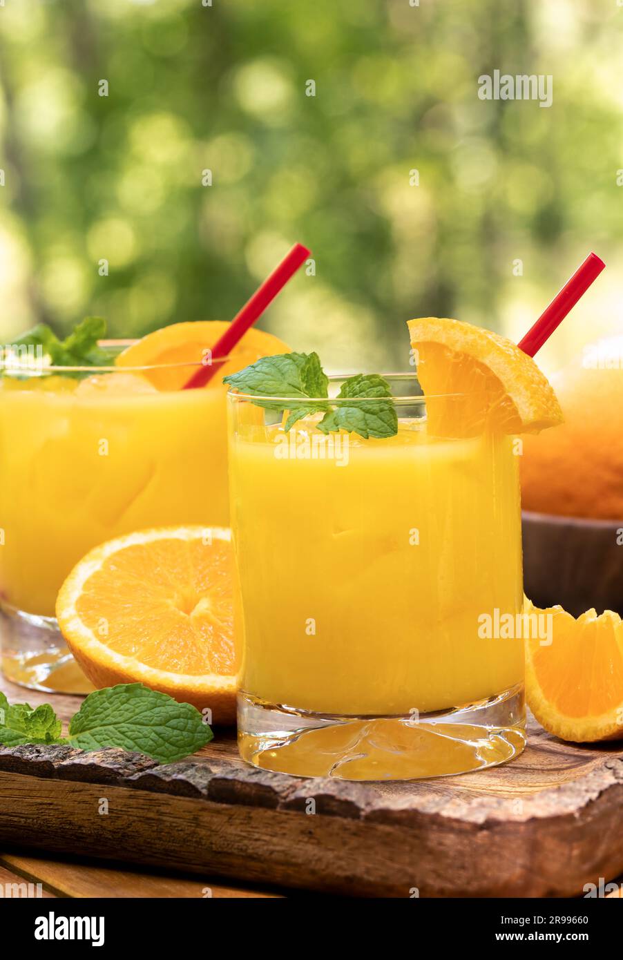 Orange juice cocktail with mint and orange slices outdoors on wooden tray with nature background Stock Photo