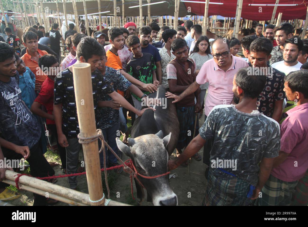 Dhaka bangladesh 23jun2023 hi-res stock photography and images - Alamy
