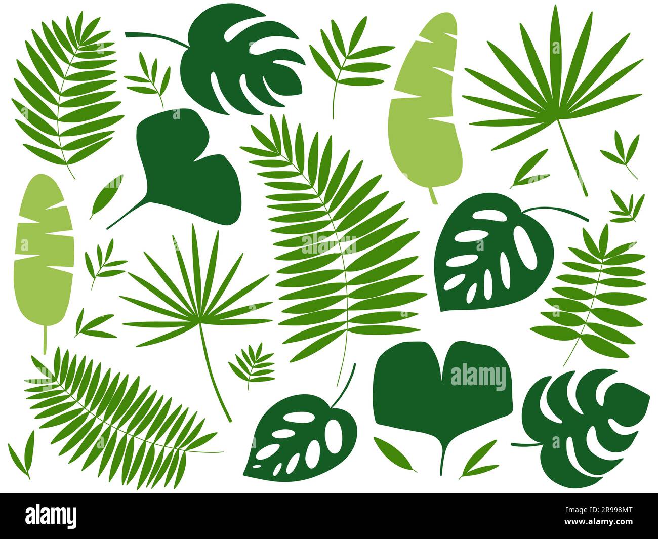 tropical exotic plants leaves set Stock Vector Image & Art Alamy