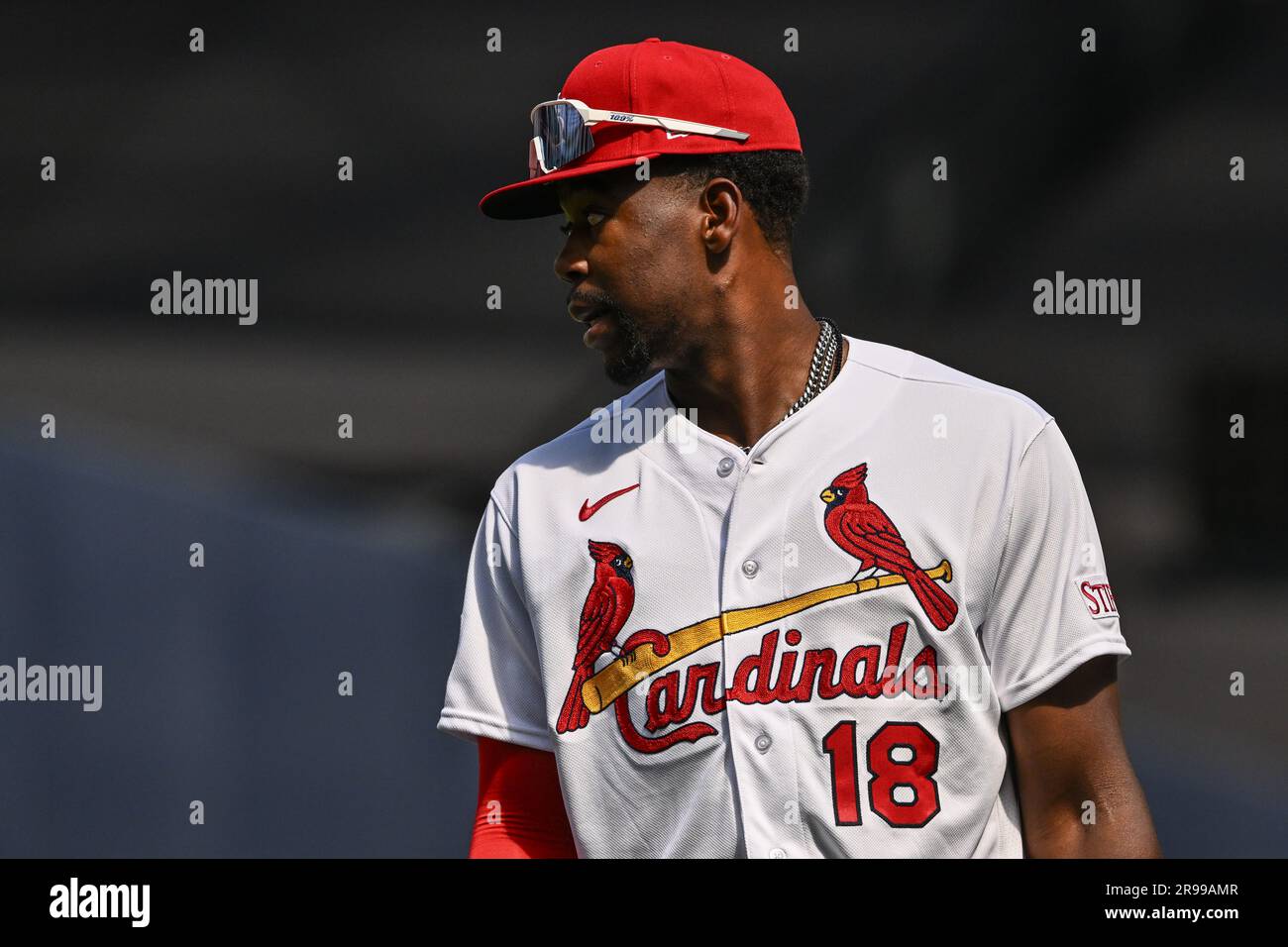 Jordan Walker #18 of the St. Louis Cardinals ahead of the 2023 MLB