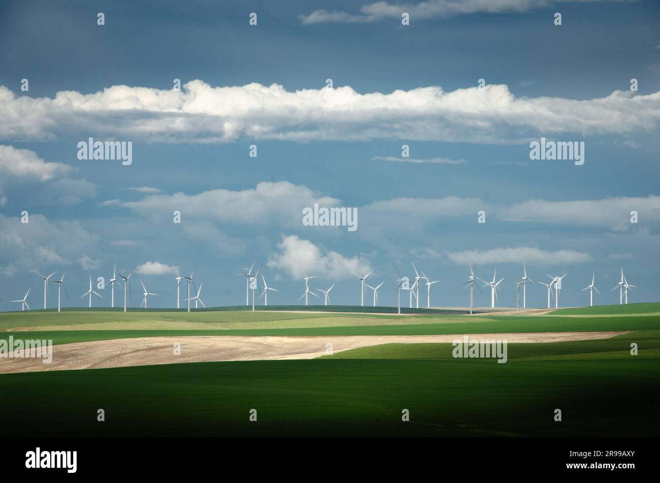 Wind farm and wheat fields near Dayton, Washington, USA. Stock Photo