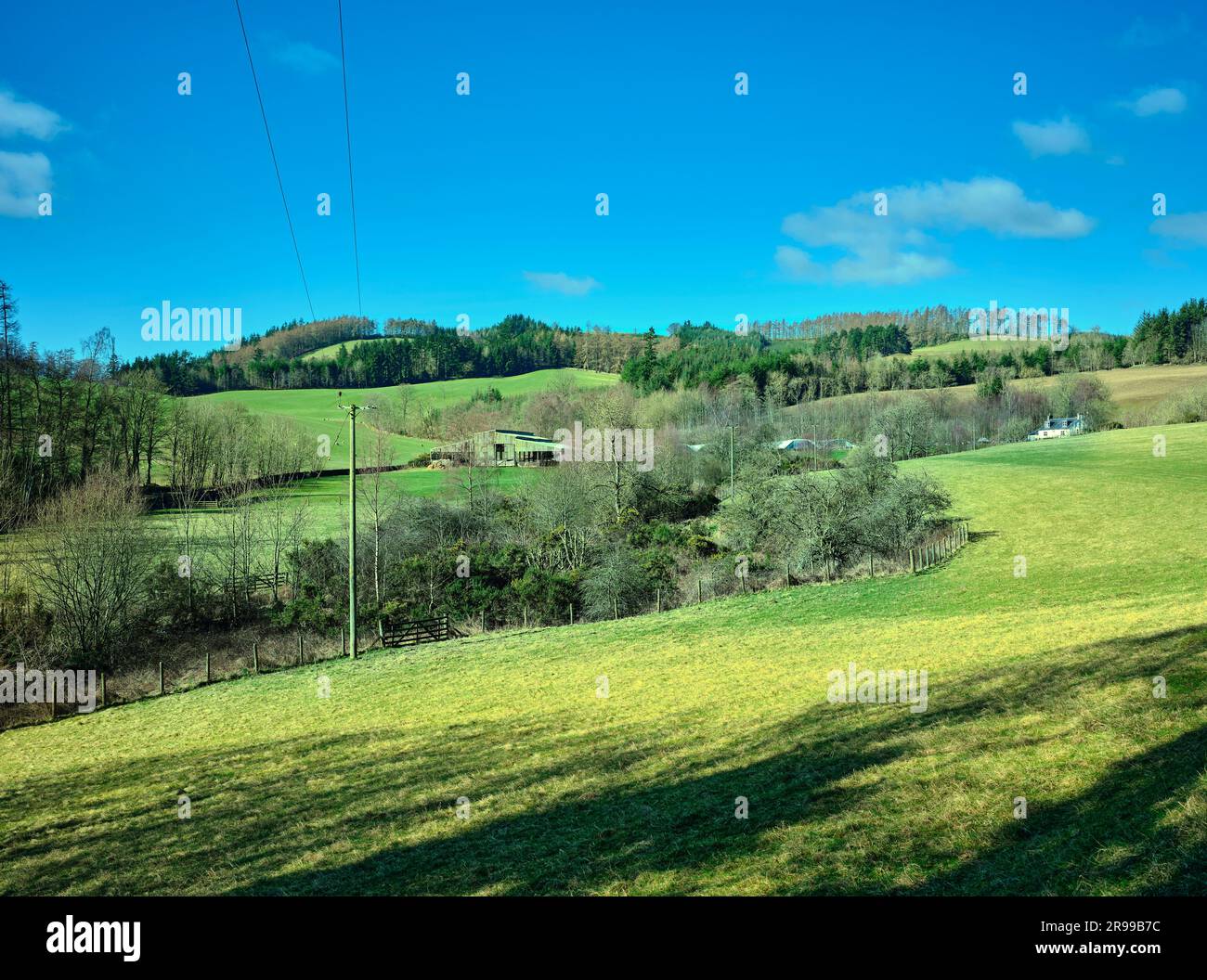A bright and sunny view looking west across farmland from a walk on the Philiphaugh estate. Selkirk. Scotland Stock Photo