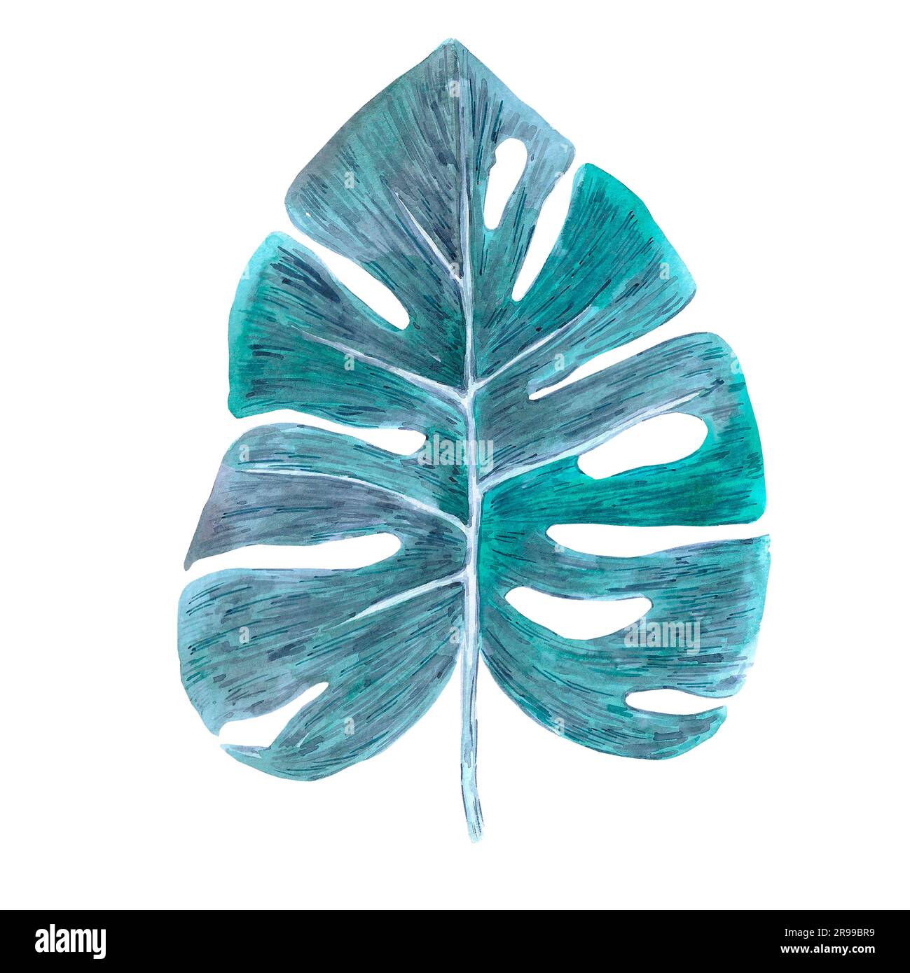 Hand drawn watercolor green tropical leaf isolated on white background ...