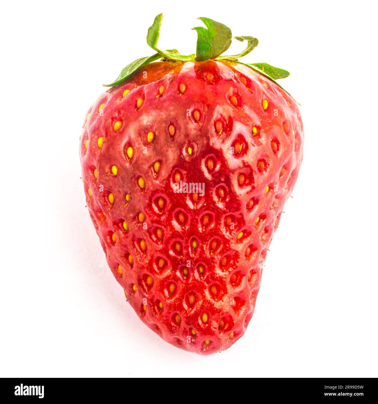 single fresh red strawberry isolated on white background Stock Photo ...