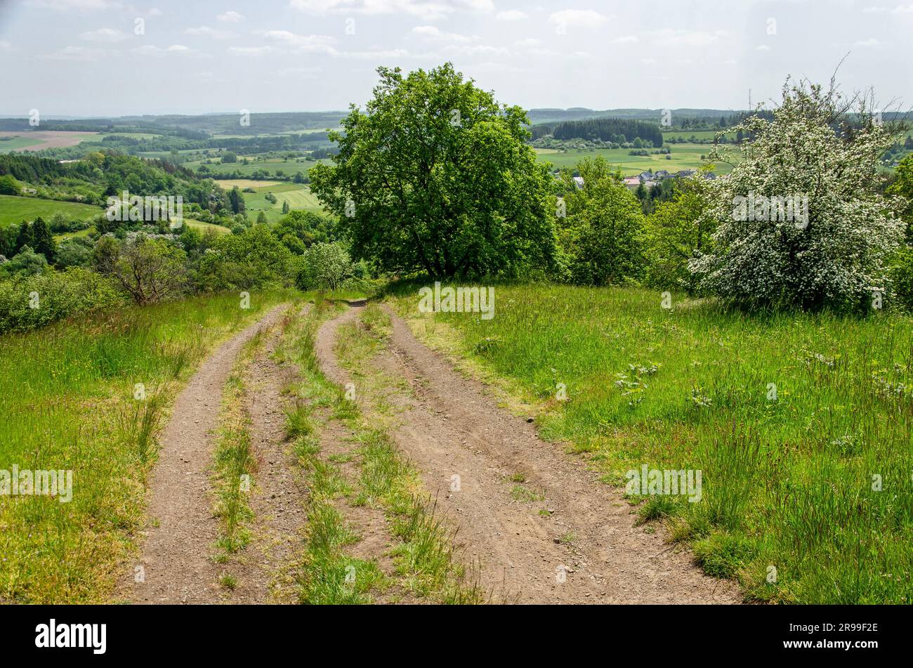 Dirt road leading down with a magnificanet view of the Eifel mountains near the volcanic lakes of Daun, Germany Stock Photo