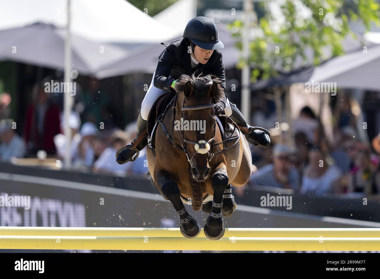 ROTTERDAM - Victoria Gulliksen with Mistral van de Vogelzang in action during the Nations Cup jumping at CHIO Rotterdam. The equestrian event takes place for the 74th time in the Kralingse Bos in Rotterdam. ANP SANDER KONING netherlands out - belgium out Stock Photo