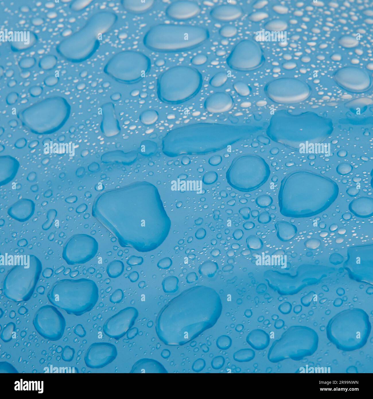 Square image of water drops on shiny blue surface Stock Photo