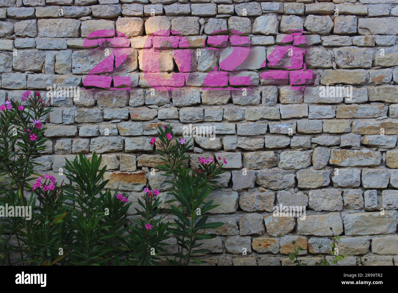 Wall With 2024 Written In Pink Paint Pink Flower In Front Of Stone   Wall With 2024 Written In Pink Paint Pink Flower In Front Of Stone Wall New Year Concept Idea 2R99TR2 