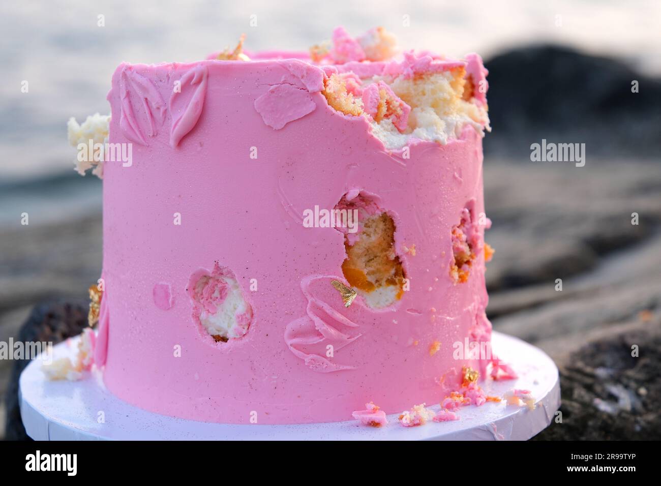 bitten pink cake on stones by the ocean or the sea to celebrate in nature the mice ate the children pecked with their fingers a delicious dessert Stock Photo