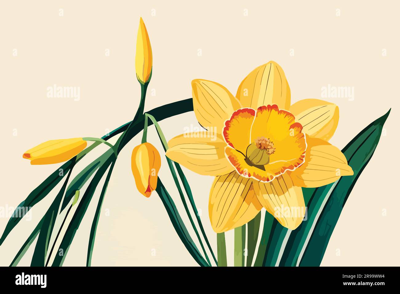 Daffodil Flowers watercolor art Stock Vector Image & Art - Alamy