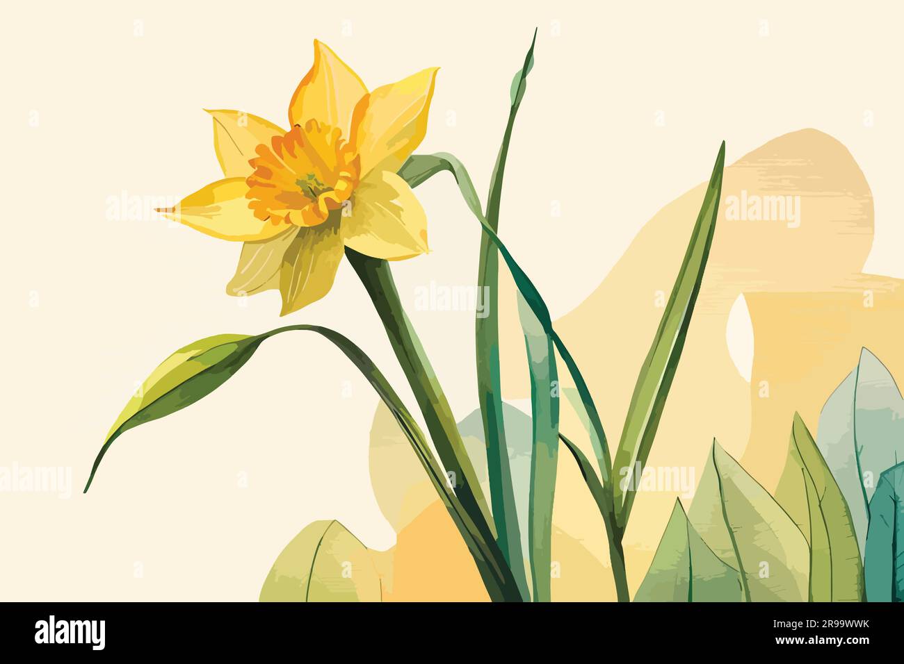Daffodil Flowers watercolor art Stock Vector Image & Art - Alamy