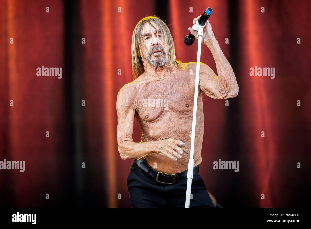 Oslo, Norway. 24th June, 2023. The American singer, musician and rock  legend Iggy Pop performs a live concert during the Norwegian music festival  Tons of Rock 2023 in Oslo. (Photo Credit: Gonzales