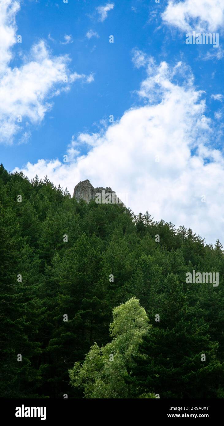 Pine clad mountain hi-res stock photography and images - Alamy