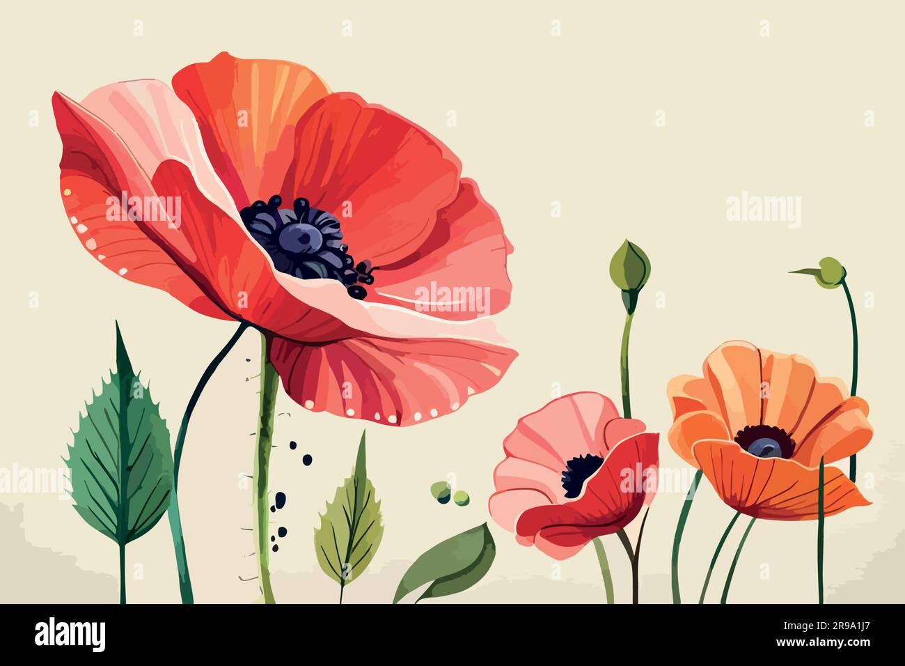 poppy flower watercolor art Stock Vector Image & Art - Alamy